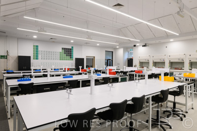 October 2020 / UoA_Johnson_Lab_010