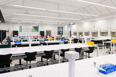 October 2020 / UoA_Johnson_Lab_012