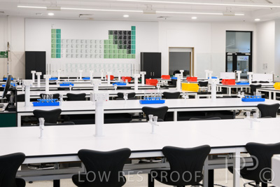 October 2020 / UoA_Johnson_Lab_013