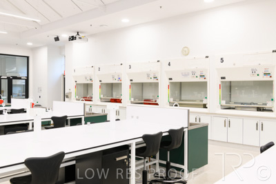 October 2020 / UoA_Johnson_Lab_015