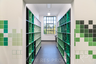 October 2020 / UoA_Johnson_Lab_017