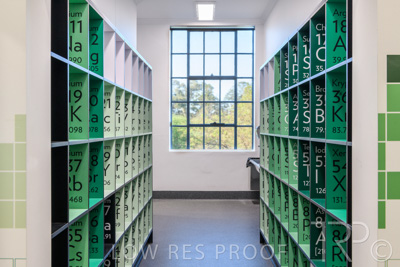 October 2020 / UoA_Johnson_Lab_018