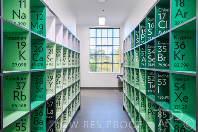 October 2020 / UoA_Johnson_Lab_019