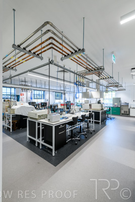 October 2020 / UoA_Johnson_Lab_029