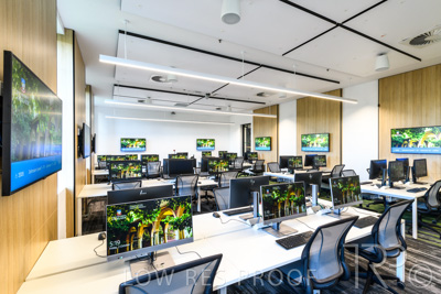 October 2020 / UoA_Johnson_Lab_036