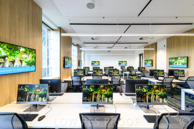 October 2020 / UoA_Johnson_Lab_037