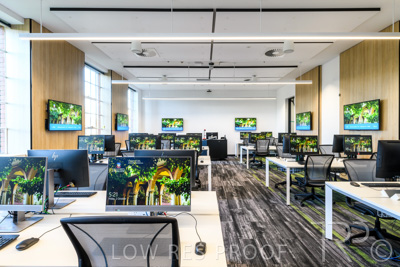 October 2020 / UoA_Johnson_Lab_038