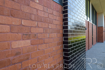 October 2020 / YATALA_017