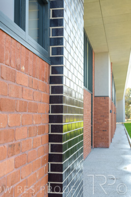 October 2020 / YATALA_018