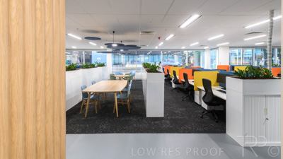 February 2021 / LGA-1447