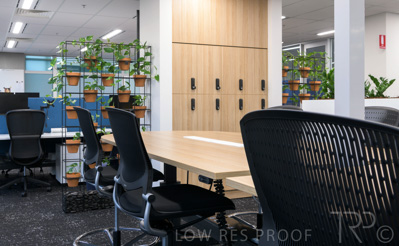 February 2021 / LGA-1517