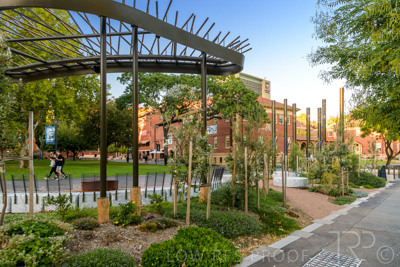 March 2021 / UoA_KAURNA_PL_210309_007