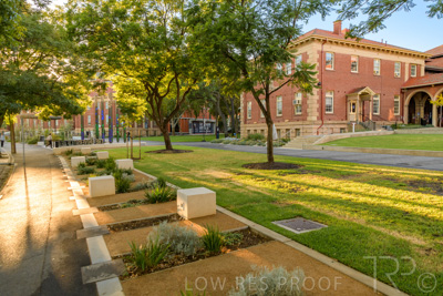 March 2021 / UoA_KAURNA_PL_210309_020