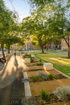 March 2021 / UoA_KAURNA_PL_210309_021