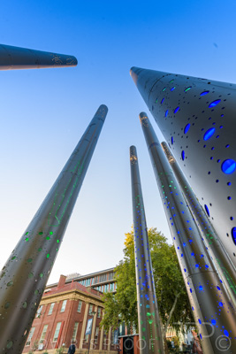 March 2021 / UoA_KAURNA_PL_210309_032