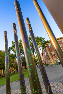 March 2021 / UoA_KAURNA_PL_210309_035