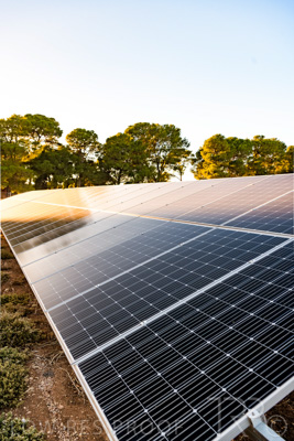 April 2021 / SOLAR_FARM_UoA_210403_040