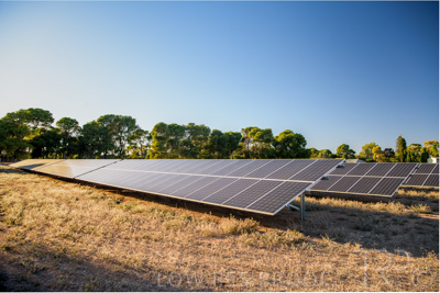 April 2021 / SOLAR_FARM_UoA_210403_059