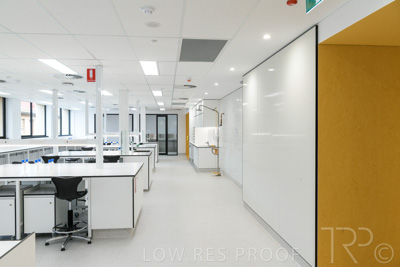 June 2021 / UoA-L6-HelenMayo-210622-058