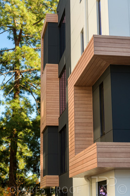 June 2021 / GRACE-079-210630