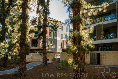 June 2021 / GRACE-098-210630