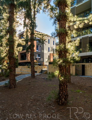 June 2021 / GRACE-100-210630