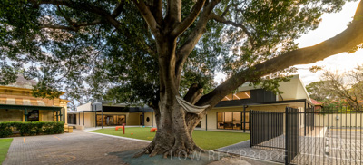 July 2021 / TREE-TOP_012