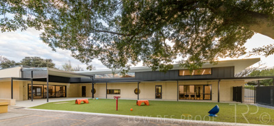 July 2021 / TREE-TOP_013