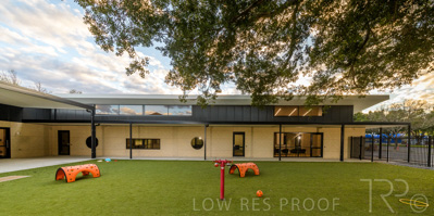 July 2021 / TREE-TOP_014