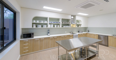 July 2021 / TREE-TOP_020