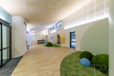 July 2021 / TREE-TOP_025