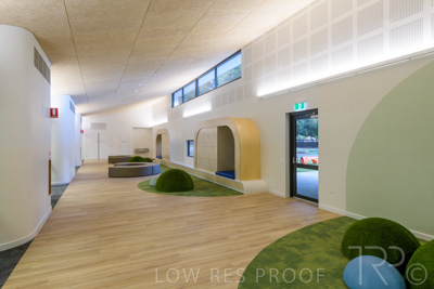 July 2021 / TREE-TOP_026