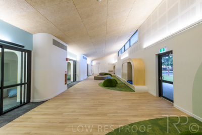 July 2021 / TREE-TOP_027