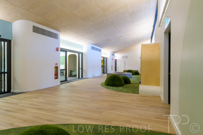 July 2021 / TREE-TOP_029