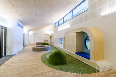 July 2021 / TREE-TOP_031