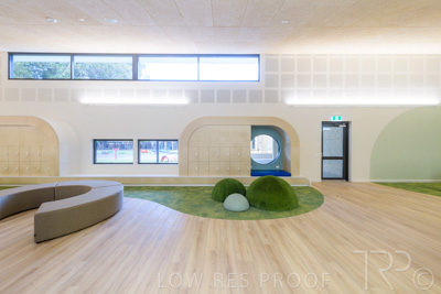 July 2021 / TREE-TOP_033