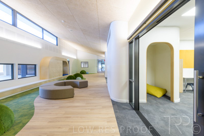 July 2021 / TREE-TOP_034