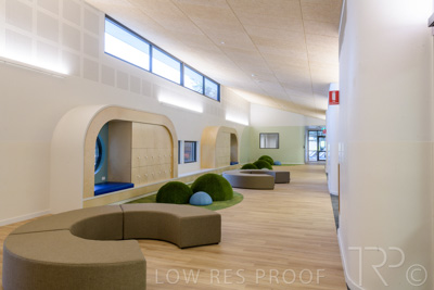 July 2021 / TREE-TOP_036