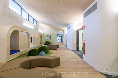 July 2021 / TREE-TOP_037