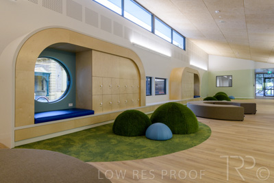 July 2021 / TREE-TOP_042