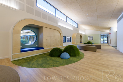 July 2021 / TREE-TOP_043