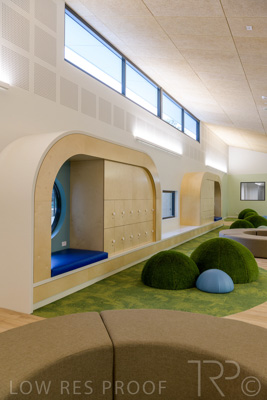 July 2021 / TREE-TOP_046