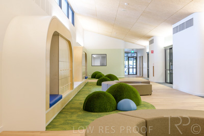 July 2021 / TREE-TOP_049