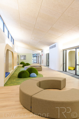 July 2021 / TREE-TOP_050