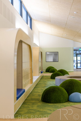 July 2021 / TREE-TOP_052