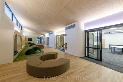 July 2021 / TREE-TOP_053