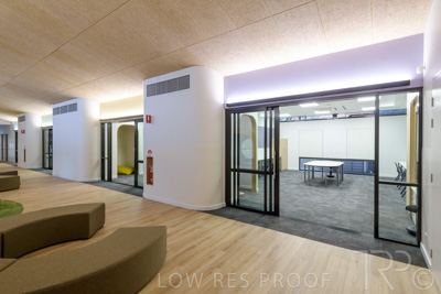 July 2021 / TREE-TOP_054