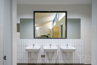 July 2021 / TREE-TOP_058