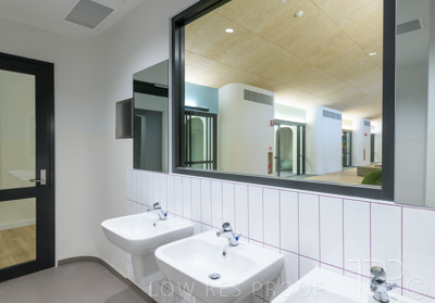 July 2021 / TREE-TOP_059