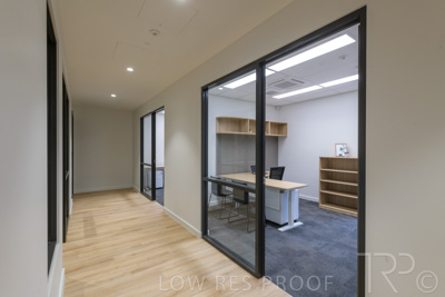 July 2021 / TREE-TOP_061